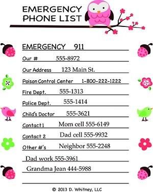 emergency phone list pink chores pinterest home daycare