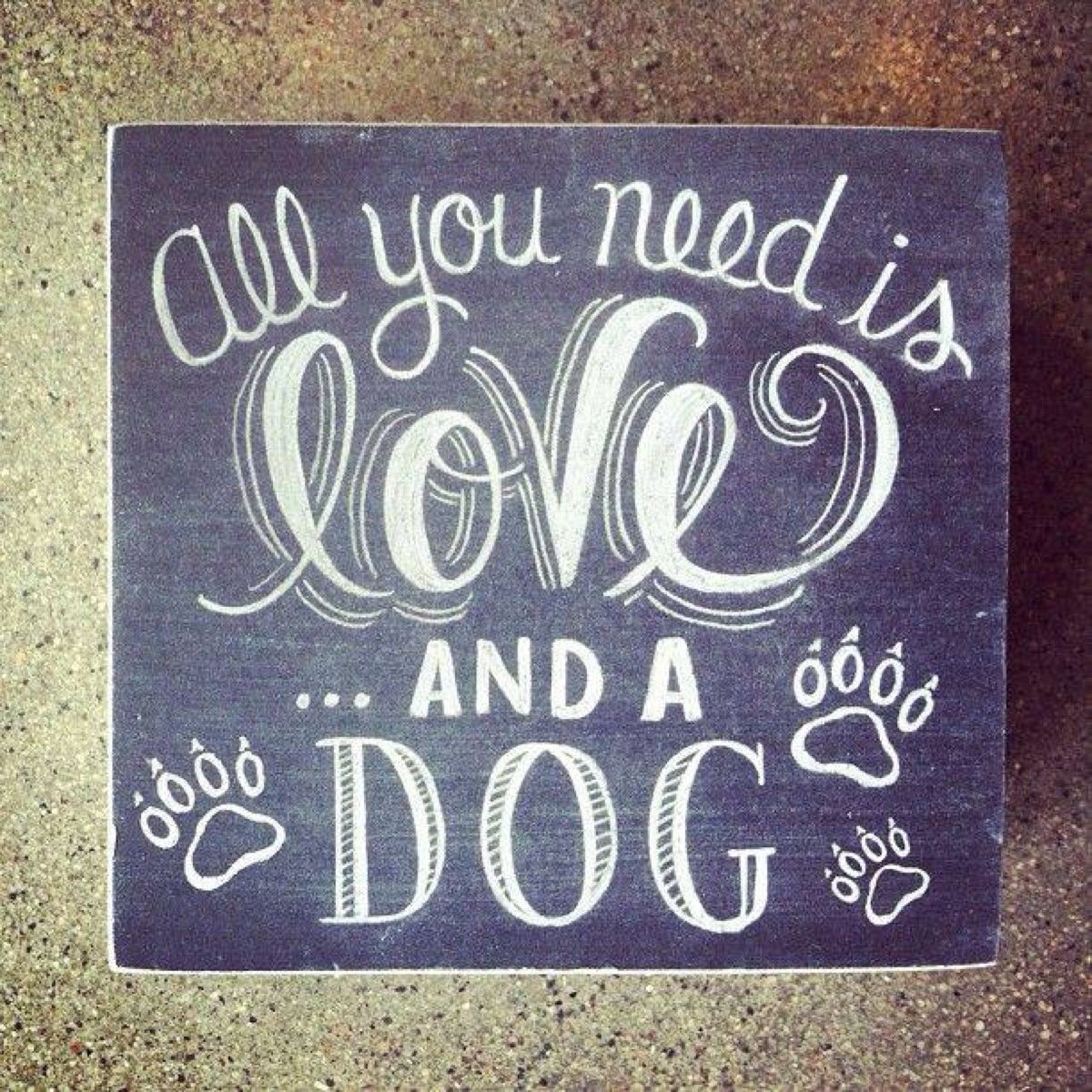 Pinned From Pin It For IPhone Dog Boutique All You Need Is Love pinned-from-pin-it-for-iphone-dog-boutique-all-you-need-is-love