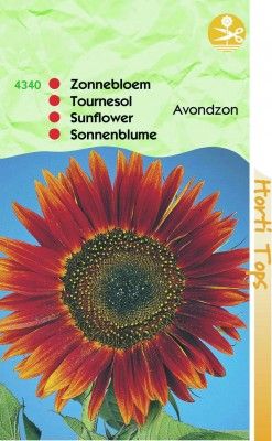 Op zoek naar een mooie zonnebloem om zelf te kweken? Deze en andere soorten vind je bij huisentuinkado.nl Om, Sunflowers