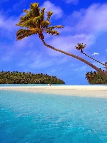 Pin On Beach Paradise