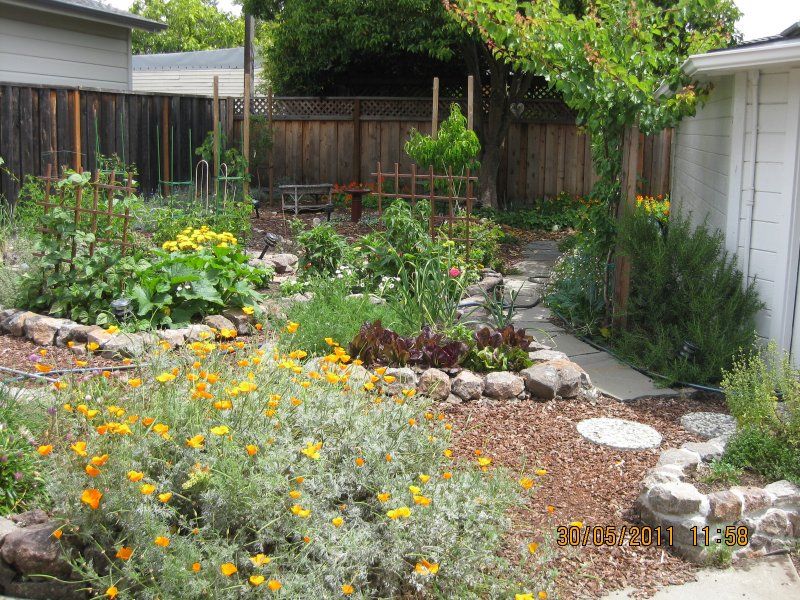 Back Yard Permaculture Gardening | New Permaculture Garden ... Back Yard Permaculture Gardening | New Permaculture Garden ... on Backyard Permaculture Design id=94653