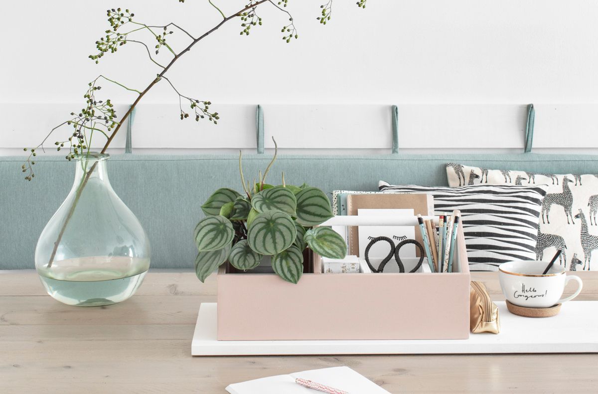 Benieuwd hoe je deze multifunctionele opbergbak met plantje maakt? Lees dan snel verder! Met deze opbergbak heb ik alles bij de hand! Diy Storage Boxes, Diys, Glass Vase, Shelves, Plants, Home Decor, Hand, Nordic, Room Ideas