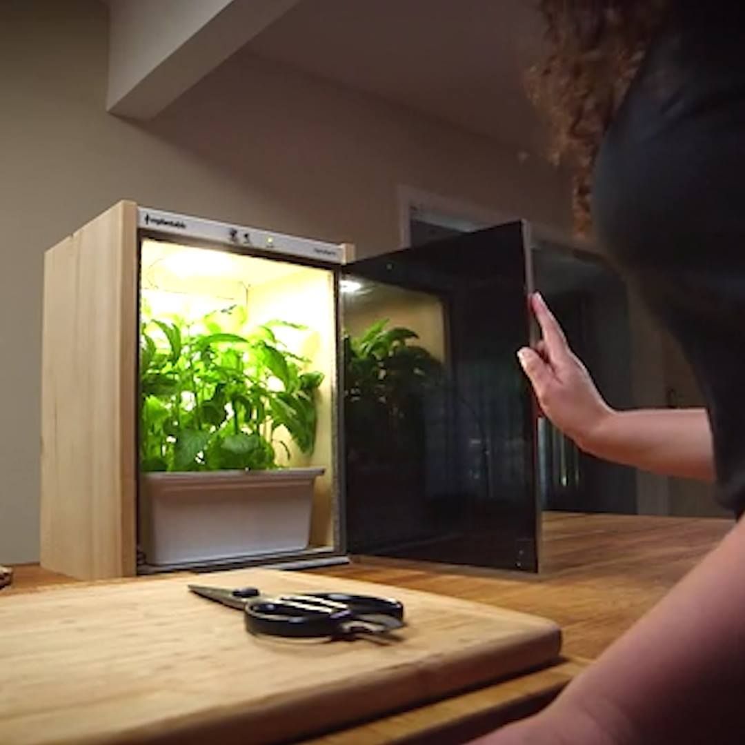 11 eco-friendly inventions for your home