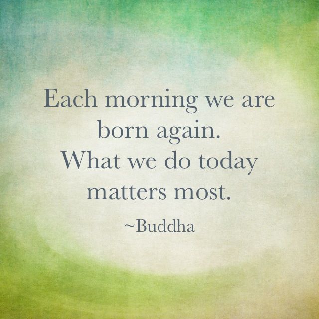 The Joy Freedom Of New Beginnings Buddha Quote Quotes Buddha Quotes