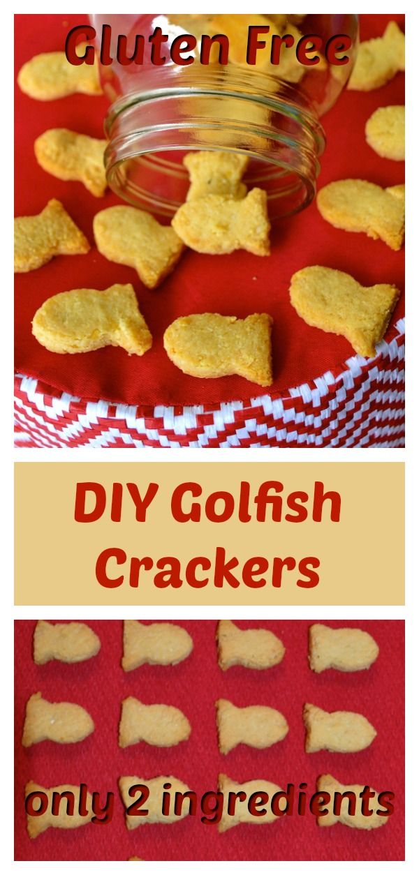 DIY 2 Ingredient Gluten Free Goldfish Crackers Recipe