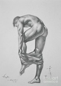 Drawings gay Hard young shemales