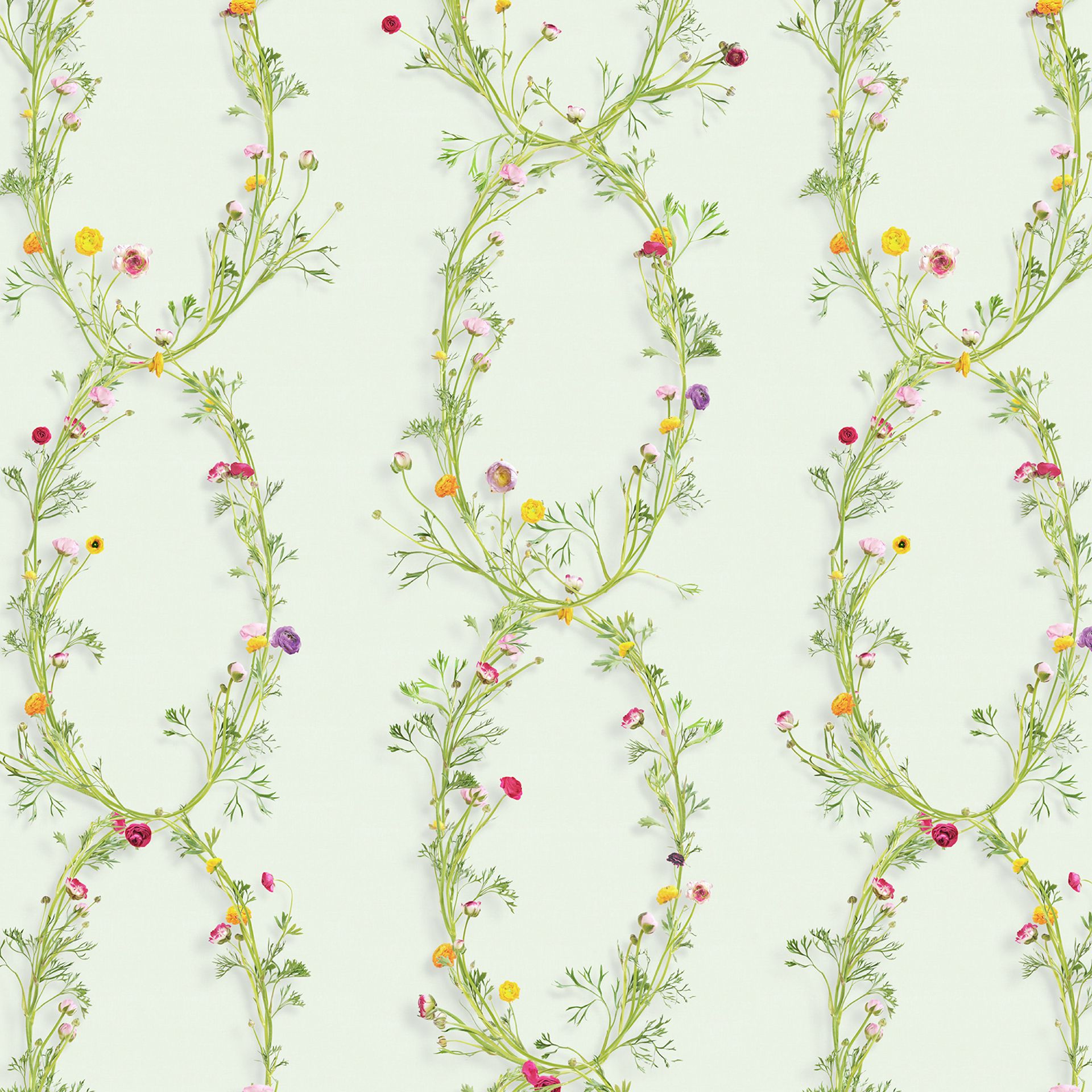 Um Papel De Parede Luminoso E Colorido Com Flores Ran Nculos ~ Prateleiras Em Quarto Com Quarto Maria Antonieta Um Papel De Parede Luminoso E Colorido Com Flores Ran Nculos ~ Prateleiras Em Quarto Com Quarto Maria Antonieta