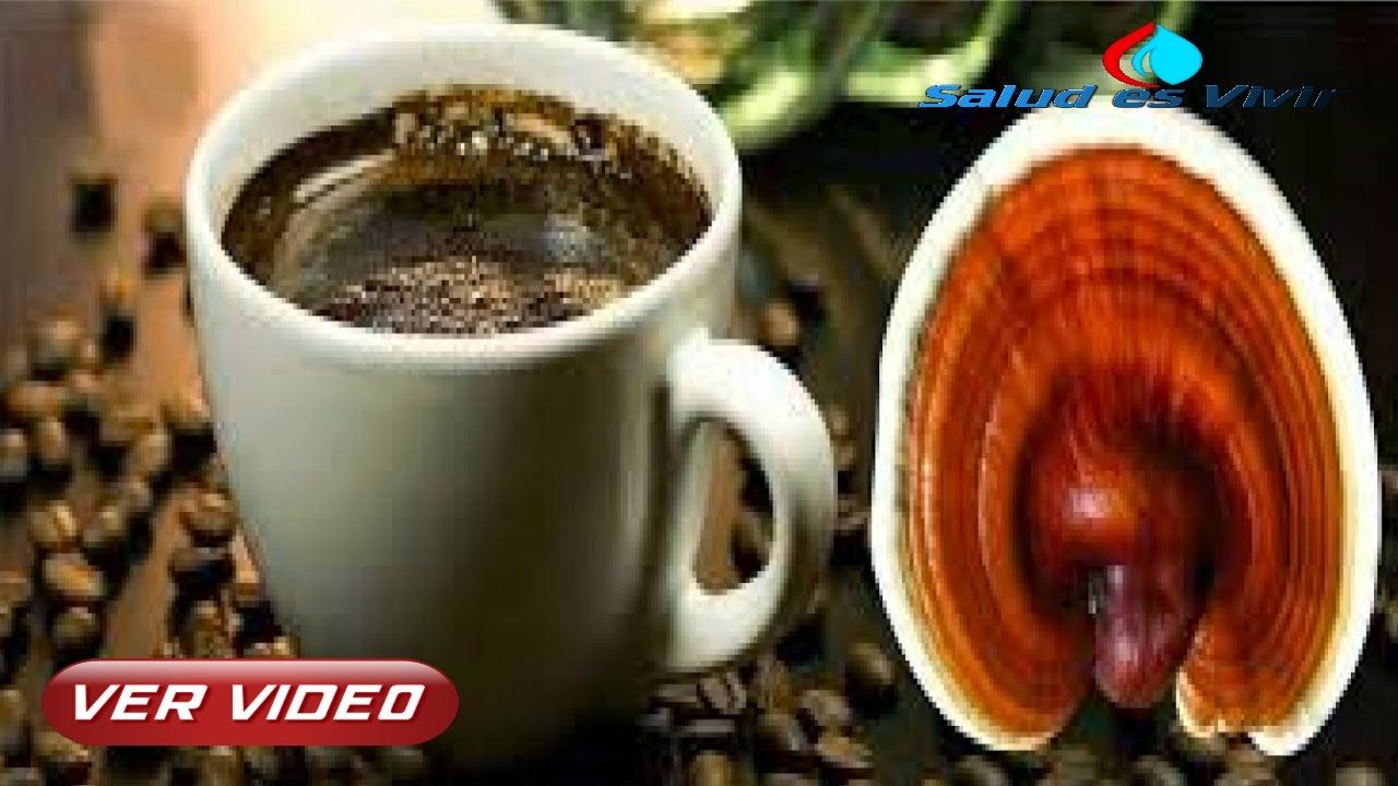 Como tomar cafe ganoderma para adelgazar