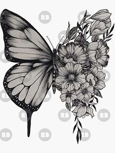 's h a w n - butterfly' Sticker by xhashtagot5x 's h a w n - butterfly' Sticker by xhashtagot5x