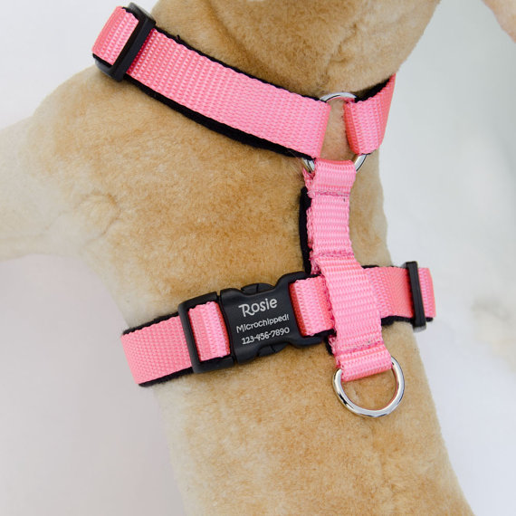 Adjustable Flannel Lined Dog Harness No Choke Personalized Pet