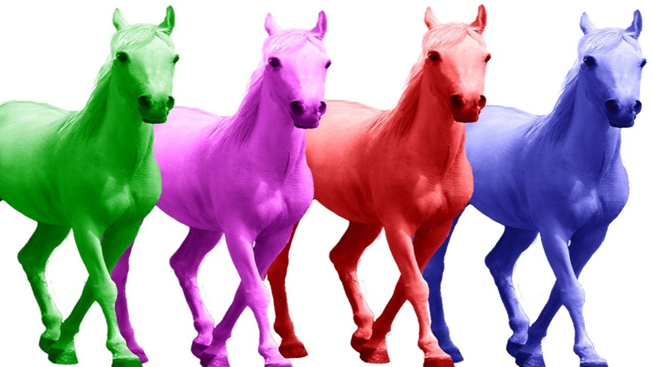 Horses Finger Family Song With Cartoon Real Nursery Horses Finger Family Song With Cartoon Real Nursery Rhymes For Kids