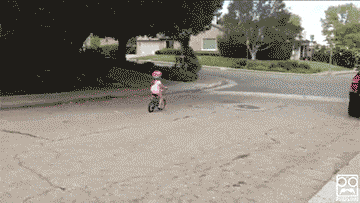 15 Times Dad Reflexes Saved the Day | Funny pictures, Funny gif, Videos funny