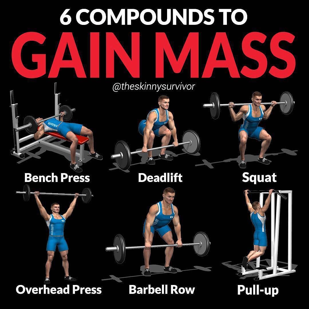 Gain Muscle Mass Using Only Dumbbells With 10 Demonstrated Exercises 