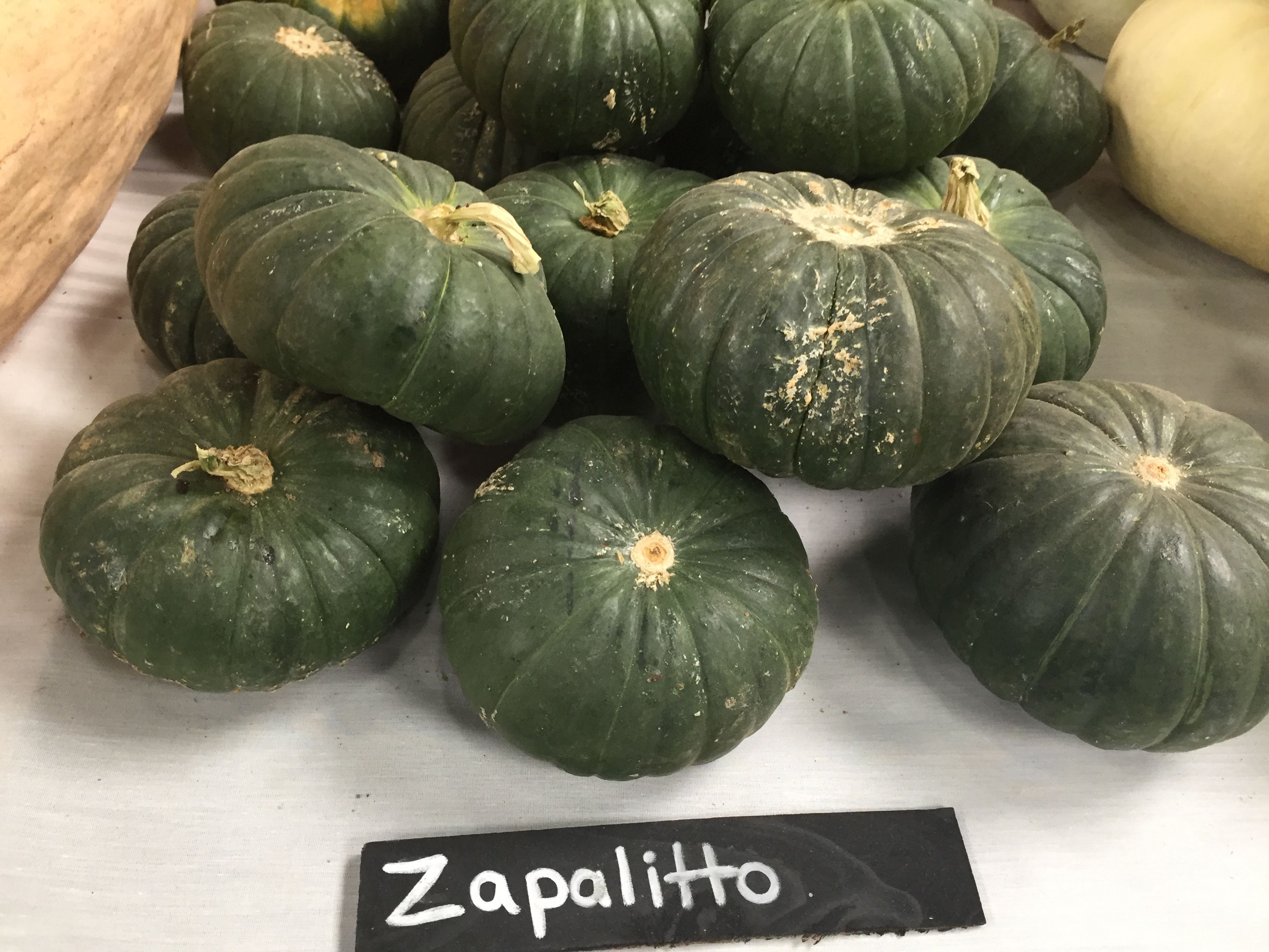 Watermelon Squash Zapalitto -- squash | Watermelon, Fruit, Squash