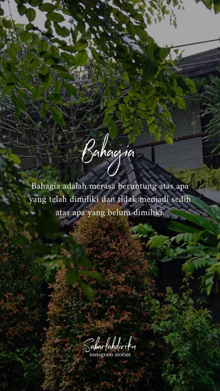 Bunga Romosan Favorit Untuk Hias Murah Tanaman Bunga Taman