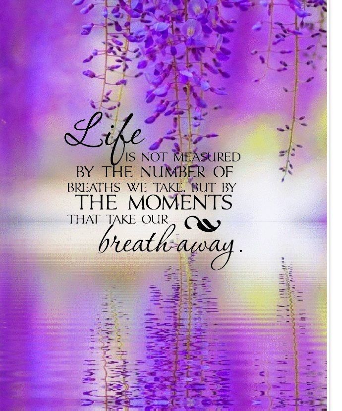 Life Is Not Measured Quote Life Lifequote Breathtaking Moments Inspiration Life Is Not Measured Quote Life Is Not Measured Quote Life Lifequote Breathtaking Moments Inspiration Life Is Not Measured Quote