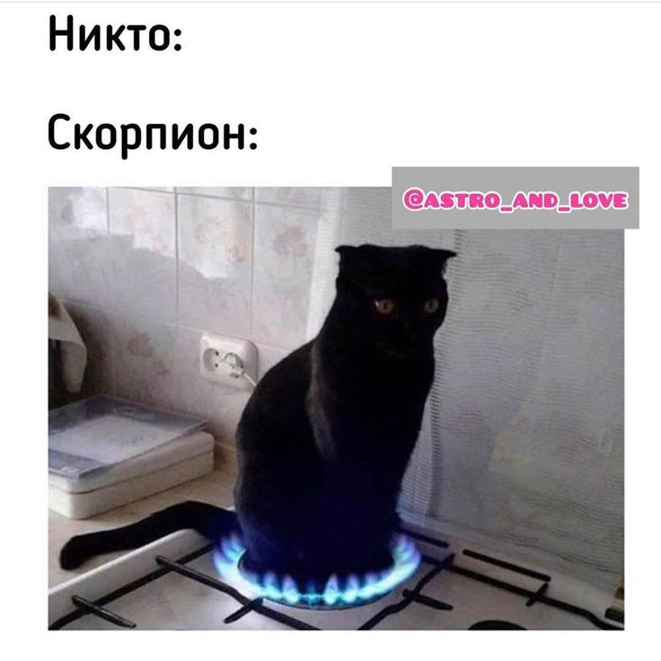 Этапы Психологии. Квантовая Психология. Марцинковская История Психологии. Эго Психология. Курсы По Психологии Онлайн. Психологические Тренинги. Новые Отношения После Расставания. С Л Рубинштейн. Любовные Смс. Кулагина Возрастная Психология. Человеческая Психология. Институт Практической Психологии. Интегральная Психология. Матримониальные Отношения. Признаки Нездоровых Отношений. Курсы #слава+ мишель андраде Cute Pictures, Zodiac Signs, Cats, Memes, Topics, Animals, Beautiful, Gatos, Animales