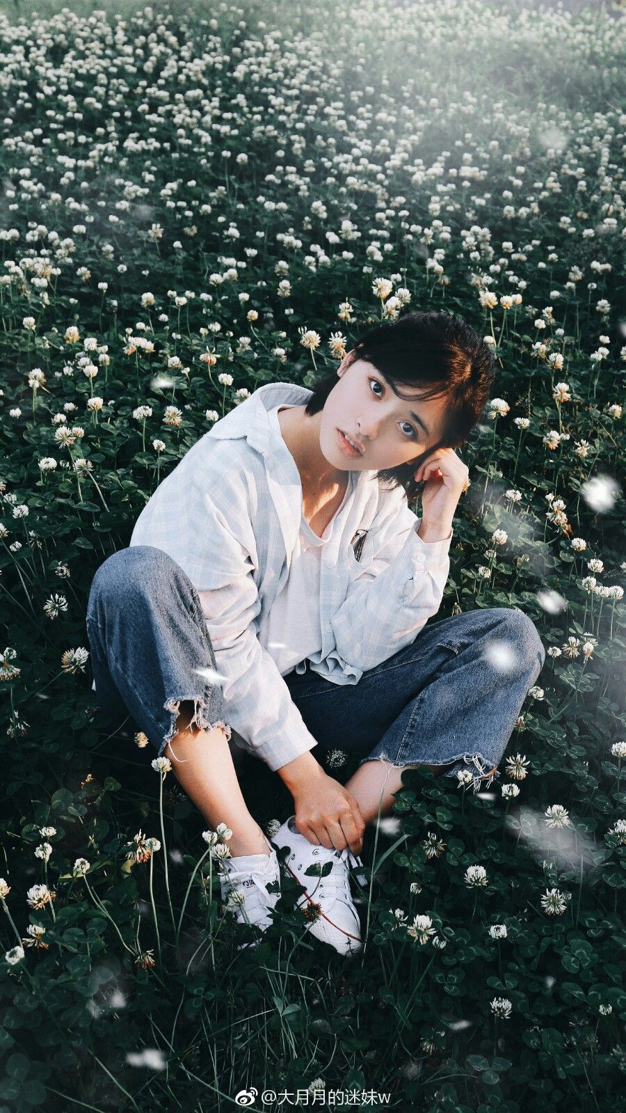 Shen Yue WALLPAPERS #wallpaper #lockscreen | A love so beautiful, Moon