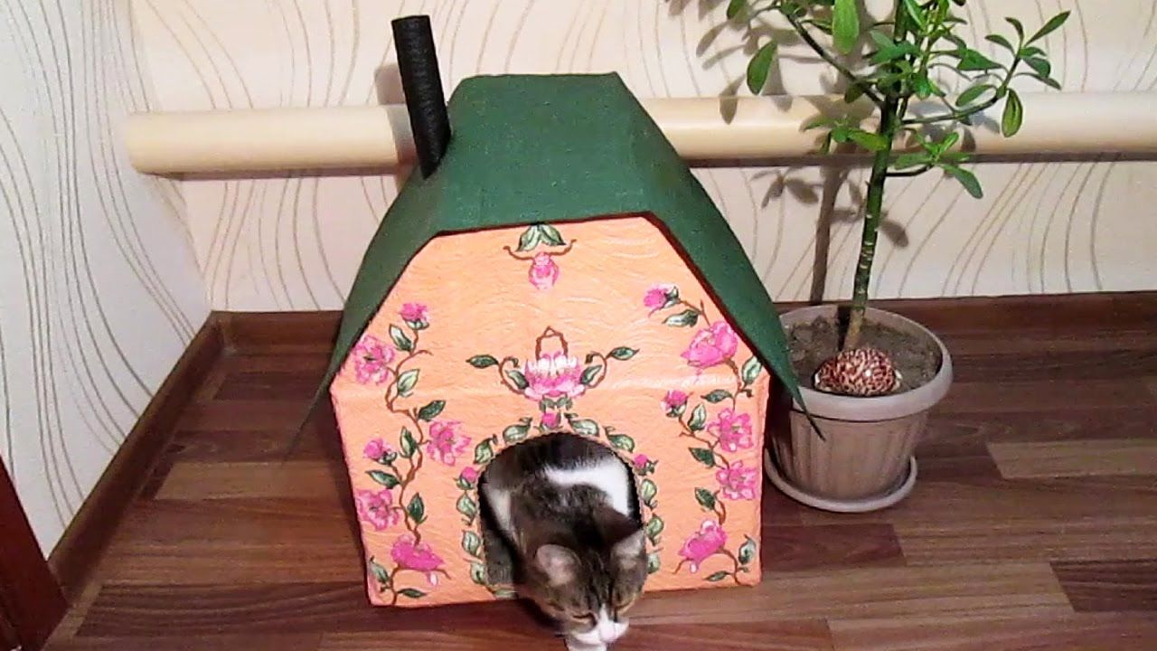Особенности кошачьего домика