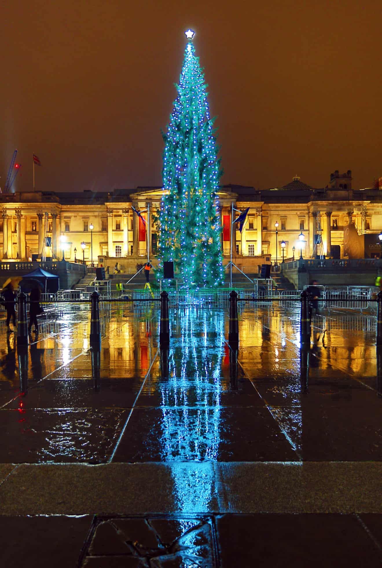 Christmas Trees Around The World In Pictures Christmas In England christmas-trees-around-the-world-in-pictures-christmas-in-england