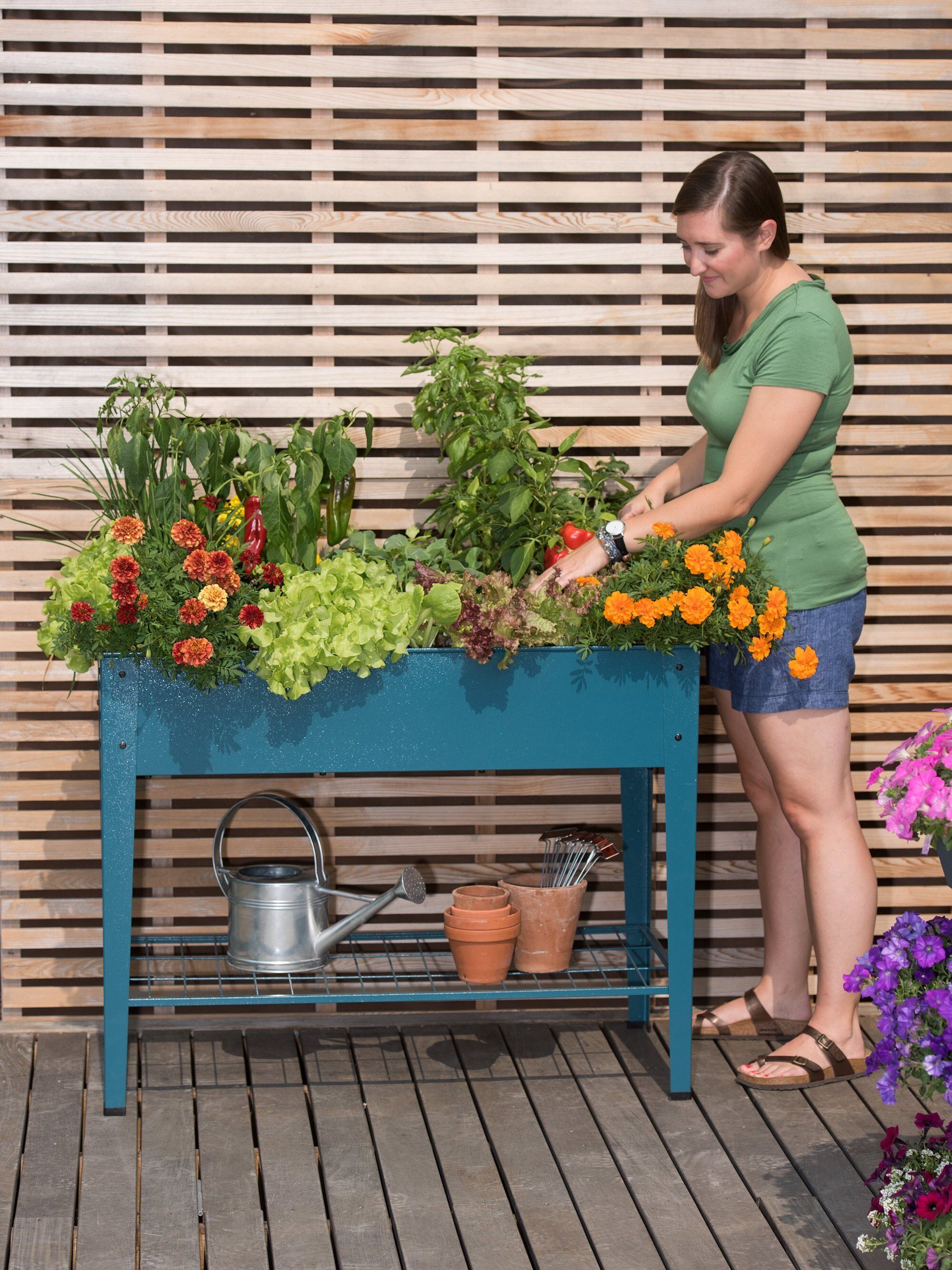 planter boxes elevated cedar planter box orders 99 ship free elevated planters gardeners in 2021 raised garden beds garden beds cedar raised garden beds bloem rail planter on planter boxes elevated cedar planter box orders 99 ship free elevated planters gardeners in 2021 raised garden beds garden beds cedar raised garden beds raised garden beds