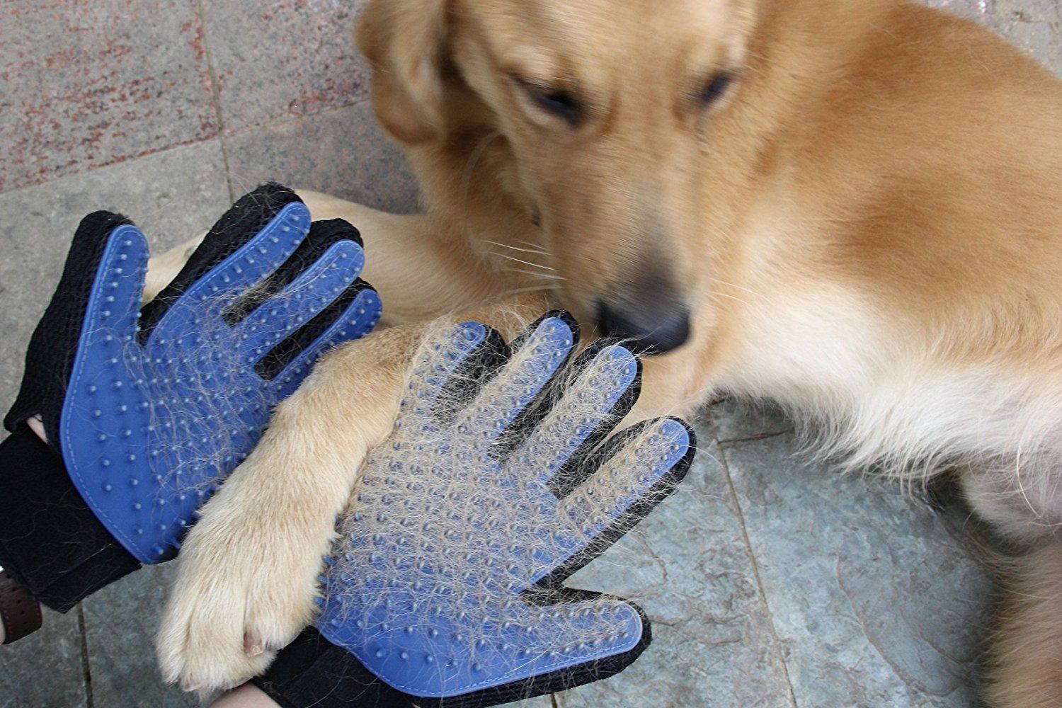Pet Grooming Gloves Cat Grooming Pet Grooming Dog Cat
