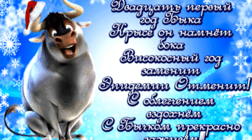 Поздравления С Новым Годом Рождения Мужчине Поздравления С Новым Годом Рождения Мужчине