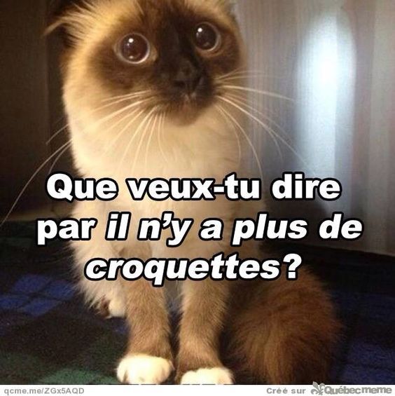 GAMMAL MAN SOM VUXEN UPPKOPPLAD DEJTING PROGRAM Chat adult algerie