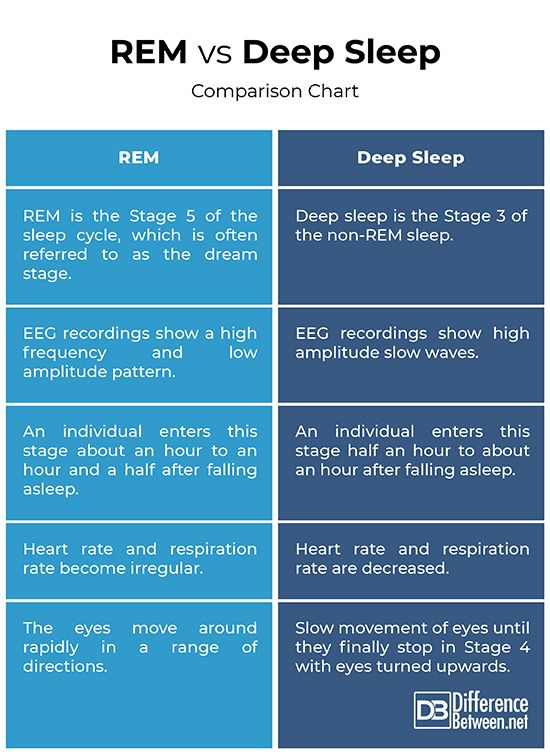 Difference Between REM And Deep Sleep Difference Between REM And Deep Sleep