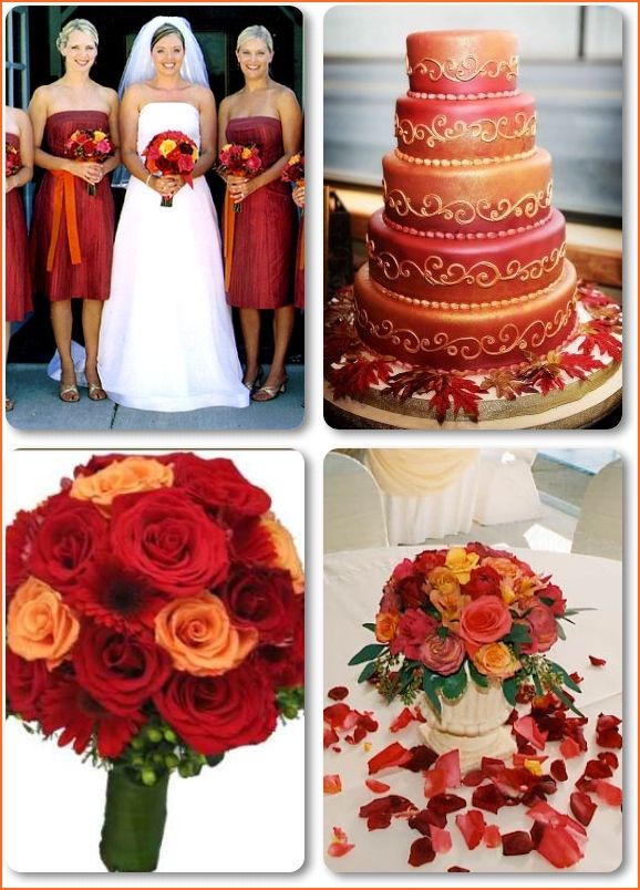 Orange Is Rodney S Fav Tiger Lillys Have To Be In The Wedding But Orange Is Rodney S Fav Tiger Lillys Have To Be In The Wedding But What Color Do I Like That Would Go With It Idk If This Or Pink