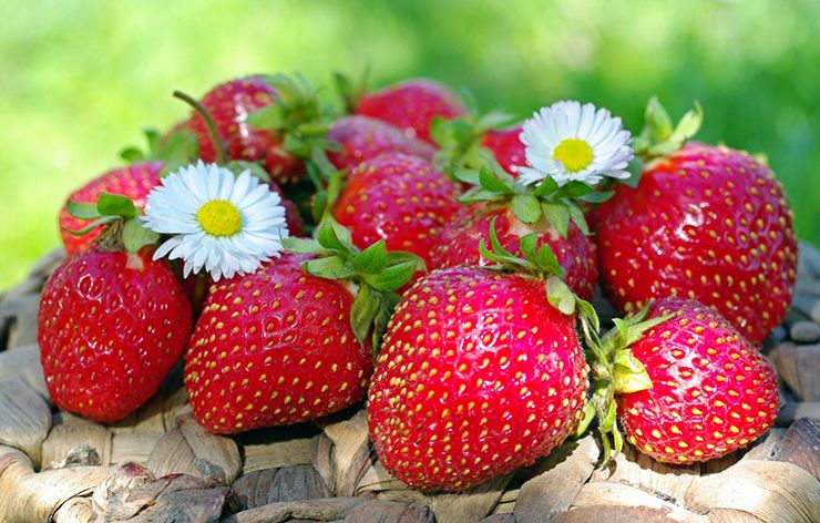 Food Wallpaper, Berries, Strawberry, Vegetables, Fruit, Spring, Beauty, Bury, Strawberry Fruit