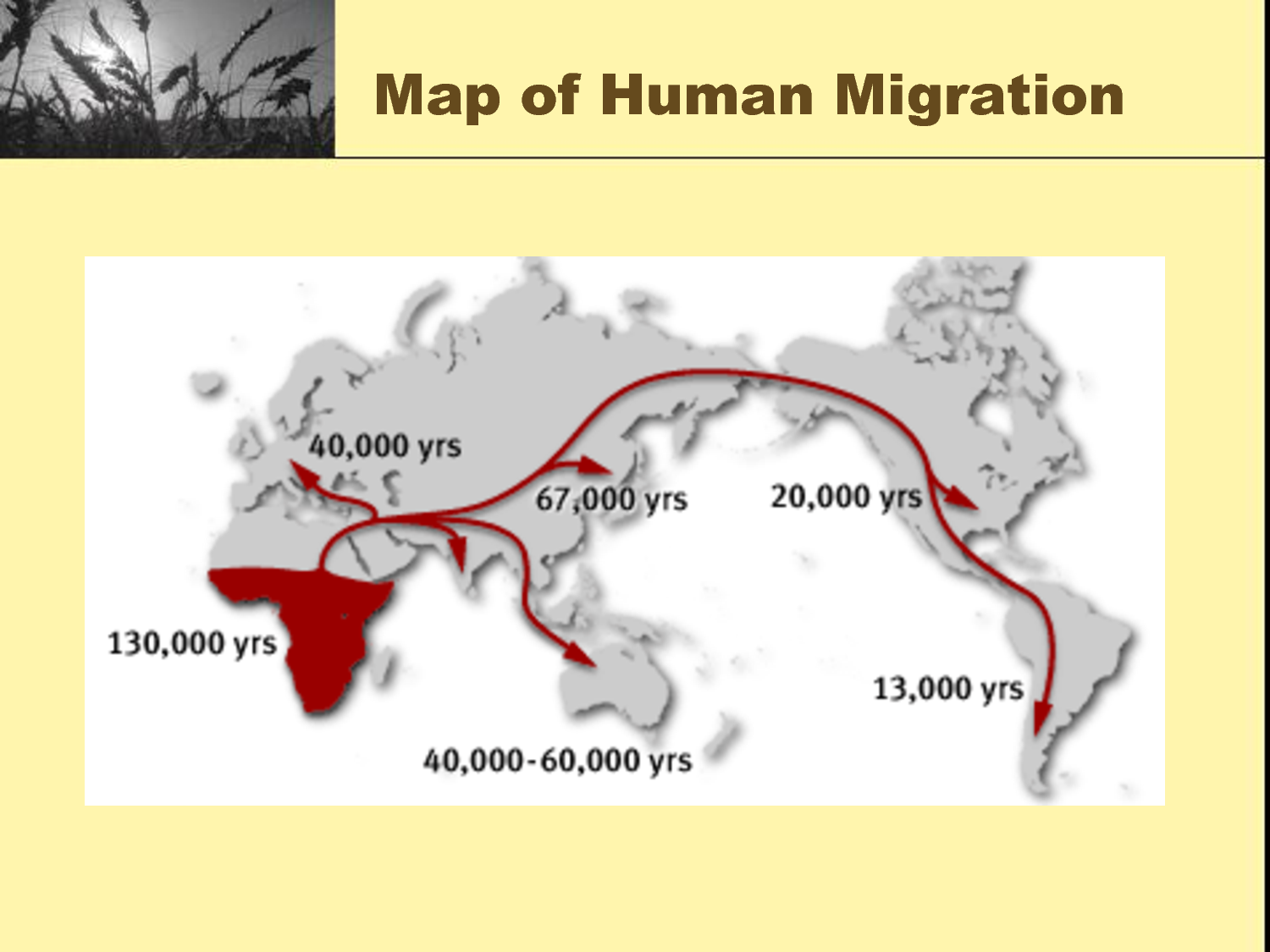 Map of human migration Human migration, Agricultural revolution, Human evolution