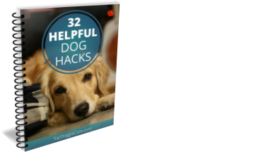 Dog Training For Dummies Pdf