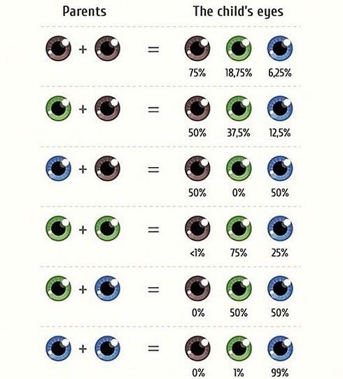 Interessant Probabilites De Couleur Des Yeux Des Enfants En Fonction De La Couleur Des Yeux Des Parents Couleur Yeux Bebe Couleur Yeux Infirmieres Interessant Probabilites De Couleur Des Yeux Des Enfants En Fonction De La Couleur Des Yeux Des Parents Couleur Yeux Bebe Couleur Yeux Infirmieres