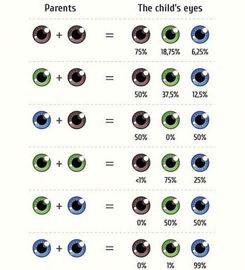 Interessant Probabilites De Couleur Des Yeux Des Enfants En Fonction De La Couleur Des Yeux Des Parents Couleur Yeux Bebe Couleur Yeux Infirmieres