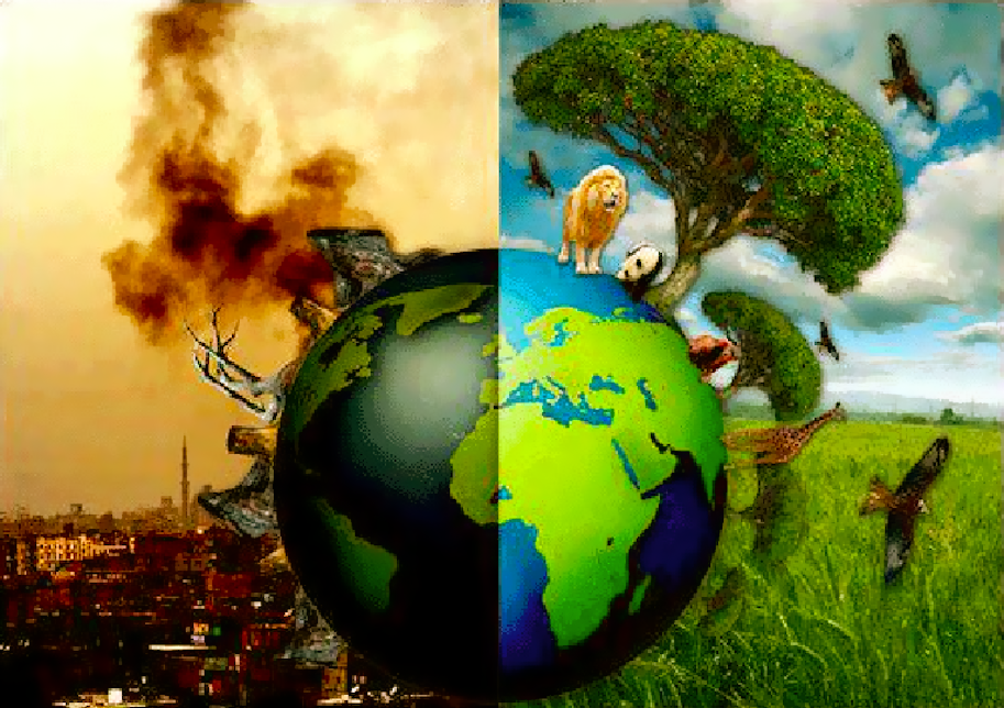 Shifting Paradigms: Aligning with the Wisdom of Nature - “If you see yourself in the correct way, you are as much extraordinary phenomena of Nature as trees, clouds, the patterns in running water, the flickering of fire, the arrangement of the stars, and the form of a galaxy…” ~Alan Watts Save The World, Save Our Earth, Save The Planet, New Earth, Earth Day, Planet Earth, Earth Drawings, Earth Images, Image Hd