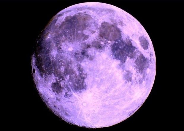Pink Moon Green Micro Which One Will Make An Earance Will The Moon Really Turn Pink Tonight