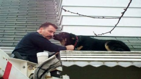 Officer Vincent Semanik Rescues A German Shepherd Off The Roof Of