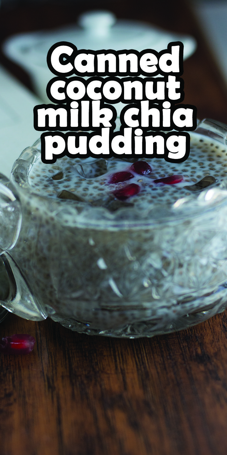 Canned coconut milk chia pudding recipe is a perfect healthy breakfast recipe. No cooking is necessary, just add the ingredients wait for half an hour or refrigerate overnight. Coconut Chia Pudding, Chia Pudding Recipes, Canned Coconut Milk, Perfect Healthy Breakfast, Healthy Breakfast Recipes, Breakfast Brunch, Quick Dishes, Healthy Dishes, No Cooking
