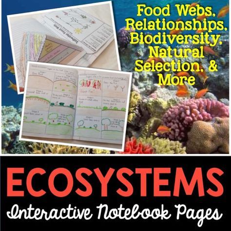 ecosystems interactive notebook pages pinterest food webs an amazing set of templates that covers abiotic and biotic factors biodiversity biomes relationships of organisms natural selection food chains food