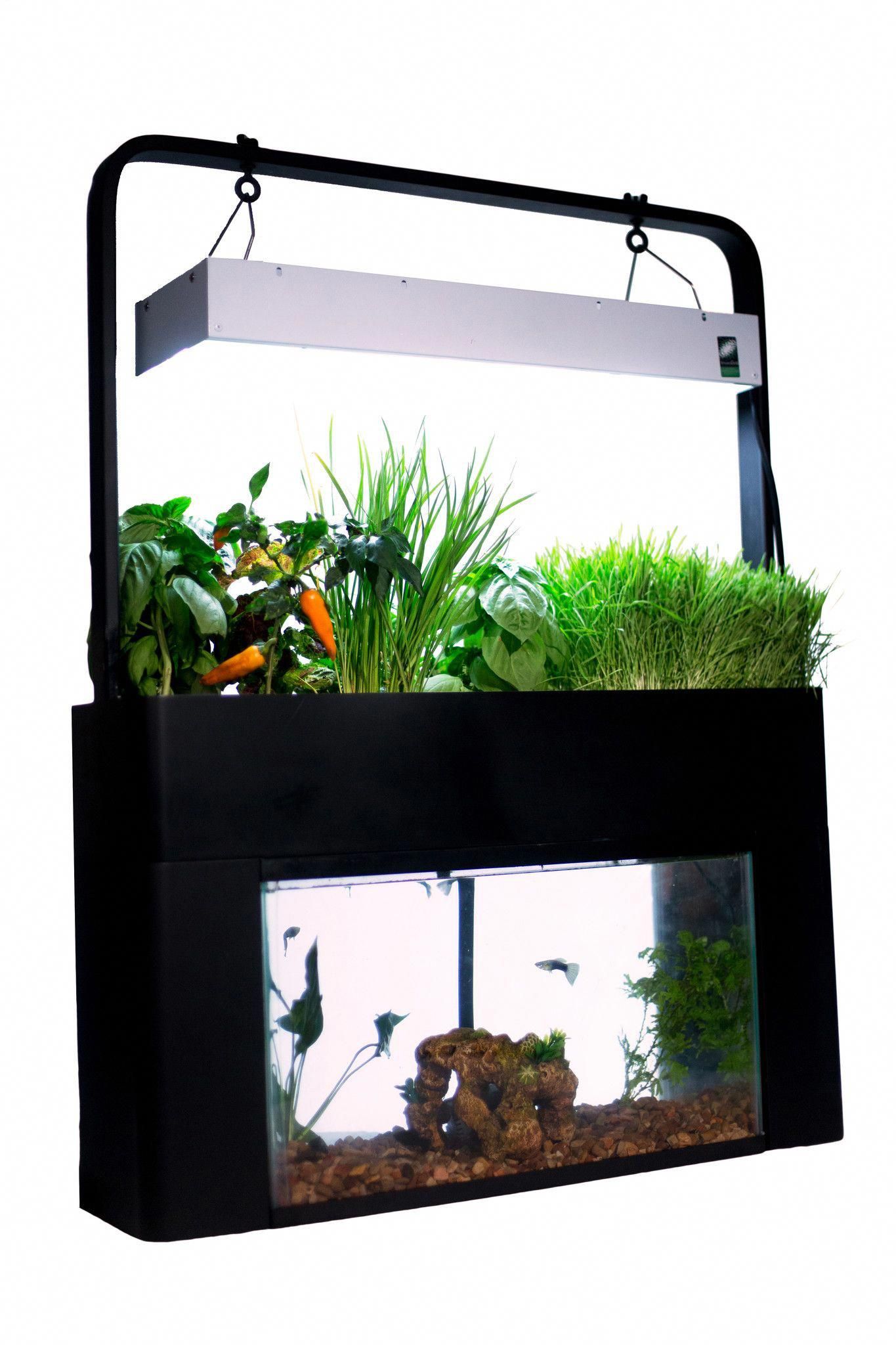 How quickly do aquaponics grow How Often Do You Flood an Aquaponics Grow Bed?
