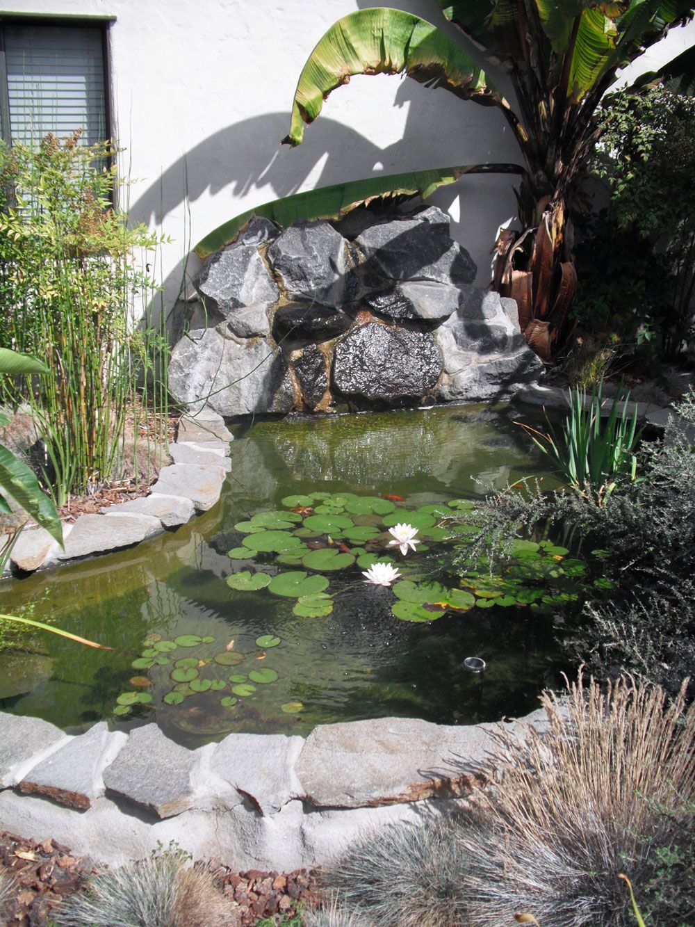 pin by ginger dunn on garden ideas pond maintenance pond pond cleaning