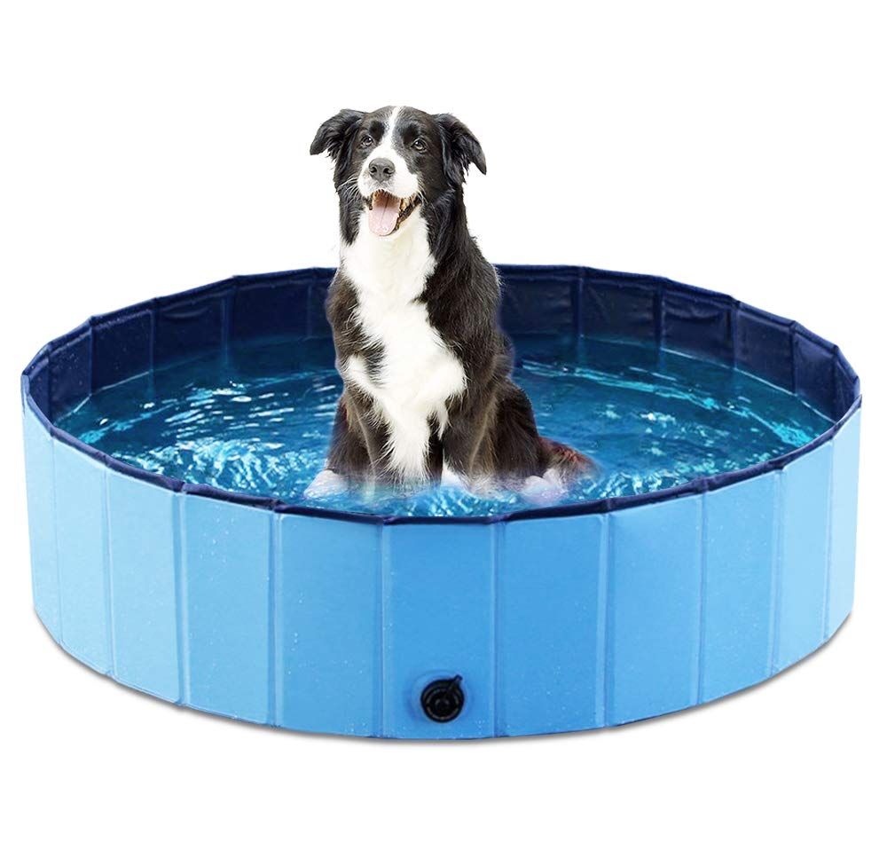 Jasonwell Foldable Dog Pet Bath Pool Review Dog Training Advice Tips Dog Pool Dog Swimming Dog Swimming Pools