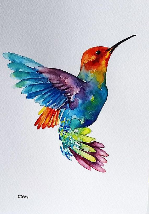 original watercolor painting flying rainbow hummingbird colorful
