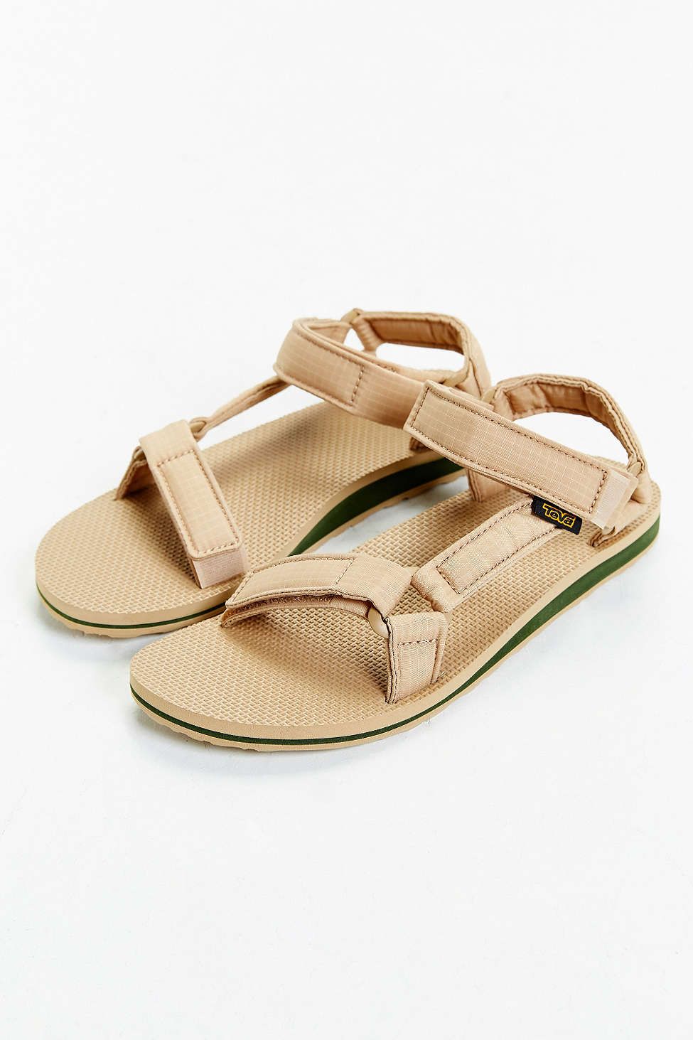 teva x publish