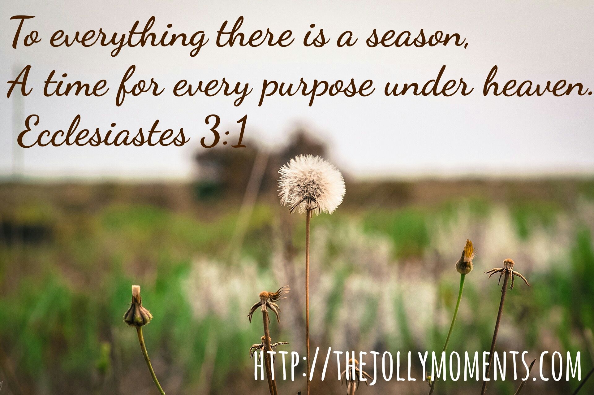 Weekly Devotion: Everything Has Its Time! | Scripture quotes, Faith