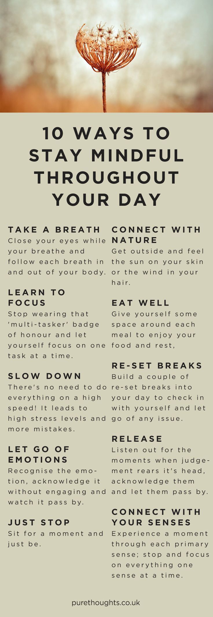 10 Ways to Stay Mindful Throughout Your Day | Mindfulness exercises ...