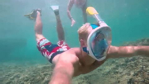 Underwater Snorkel – Trendy2020Shop | Snorkel mask, Scuba equipment, Full face snorkel mask