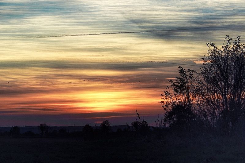Download Wild Grasses at Sunset by Vicki Field | Sky landscape, Art ...