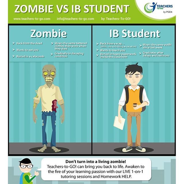 Ib homework help